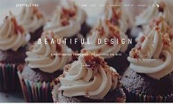 ThemeIsle - ShopIsle Pro