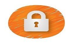 Really Simple SSL pro