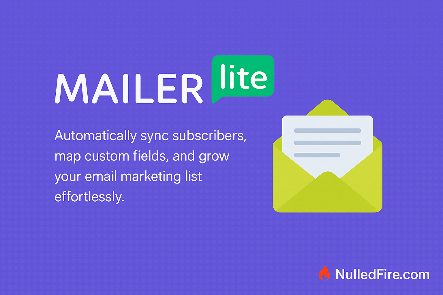 Everest Forms - MailerLite